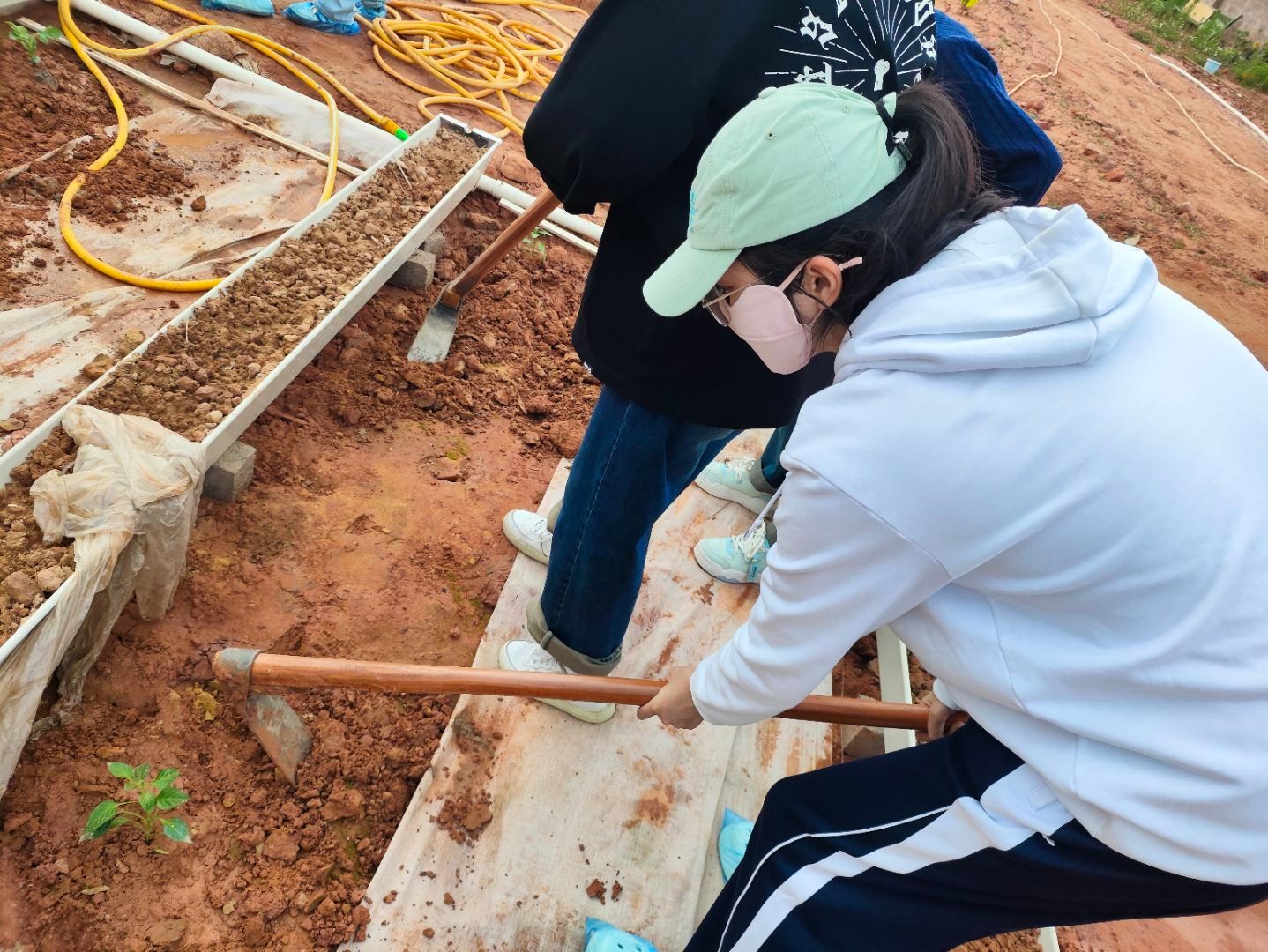 betway必威西汉姆联