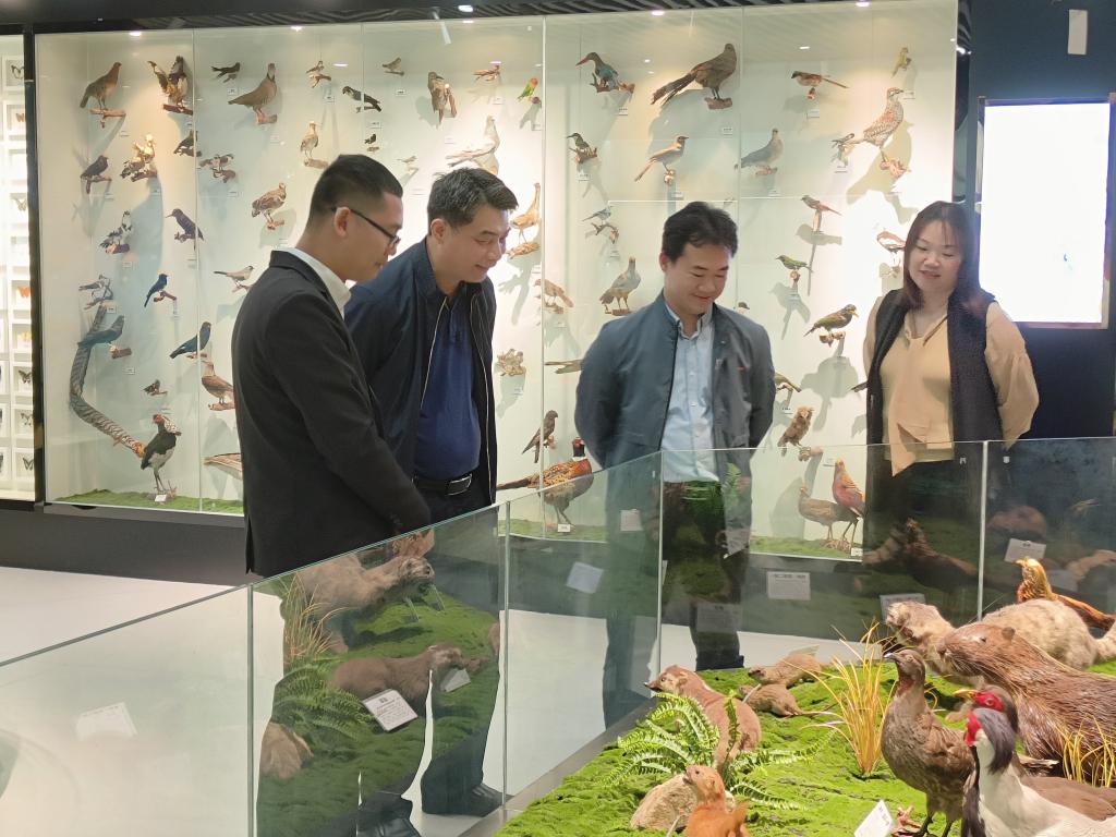 betway必威西汉姆联